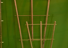 Another new product in Van Nifterik's range is the new caramelized sticks. They can offer them in blank, black, and caramelized sticks.